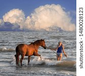 Horsewoman / female horse rider bathing / paddling with horse in shallow water on the beach in summer with approaching thunderstorm