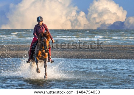 Horsewoman / female horse rider on horseback galloping through water on the beach with approaching thunderstorm