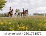 Horsewomen riding beautiful horses along the trail at the equestrian center on a bright summer day. Horse gait walks concept.