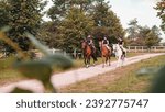 Horsewomen riding beautiful horses along the trail at the equestrian center on a bright summer day. Horse gait walks concept.