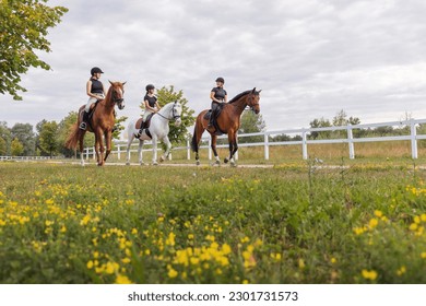 Horsewomen riding beautiful horses along the trail at the equestrian center on a bright summer day. Horse gait walks concept. - Powered by Shutterstock