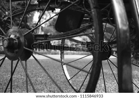 Similar – Image, Stock Photo Bicycle! Lifestyle