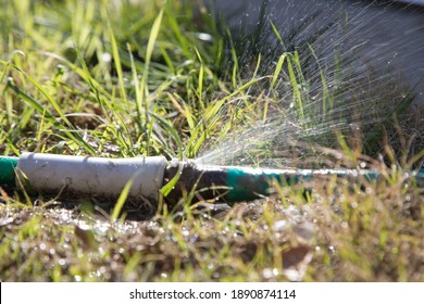 80,089 Water loss Images, Stock Photos & Vectors | Shutterstock