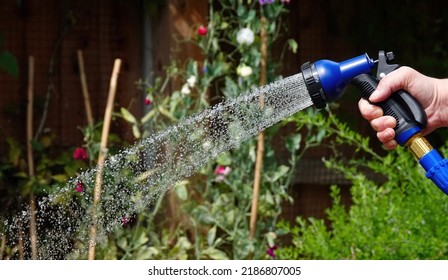 A hosepipe being used to water a garden in summer. - Shutterstock ID 2186807005