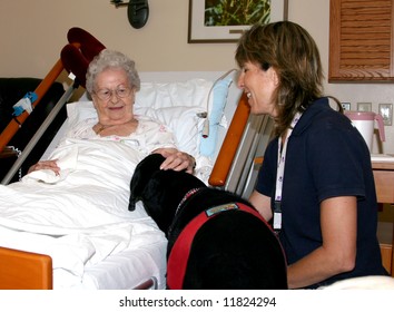 A hospice patient enjoys the company and interaction with a therapy dog and her gentle careworker. - Powered by Shutterstock