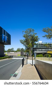 Hospital Buildings On A Sunny Day In Australia. Hospital Complex With Multiple Buildings And Walkway. Australian Hospital Grounds With A Eucalyptus Tree.