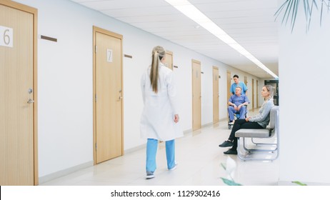 In The Hospital Hallway, Busy Professional Personnel Walking By, Nurse Pushes Senior Man In The Wheelchair, Patients Wait For Their Doctor. Clean, New Hospital With Professional Medical Staff.