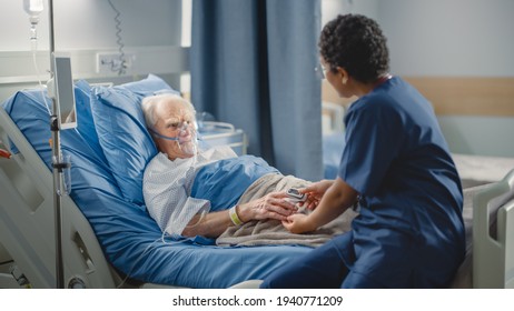 Hospital Ward: Friendly Head Nurse Connects Finger Heart Rate Monitor or Pulse Oximeter to Elderly Patient Wearing Oxygen Mask Resting in Bed. Nurse Does Patient Checkup After Successful Surgery - Powered by Shutterstock