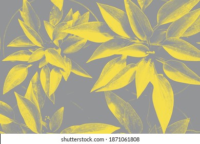 Hosta Leaves Pattern In Trendy 2021 New Colors. Illuminating Yellow And Ultimate Gray. Color Of The Year 2021. Summer Plants Wallpaper.