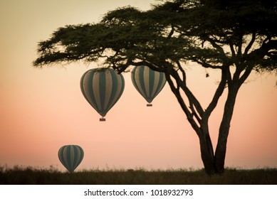 Hot Air Ballon Safari In The Serengeti