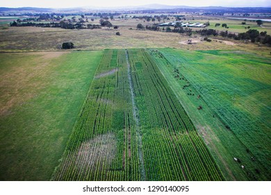 Hot Air Ballon View Fields And Rural Areas Gold Coast Queensland Australia