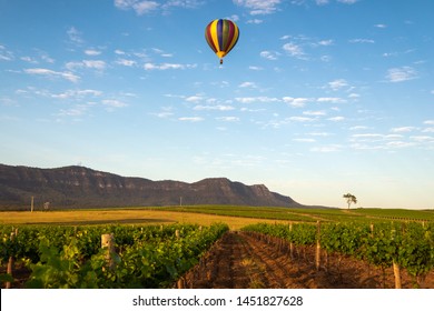 Hot Air Balloon drifting past a vineyard in the Hunter Valley