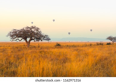 The Hot Air Balloon Flying Over The Serengeti National Park,Tanzania.