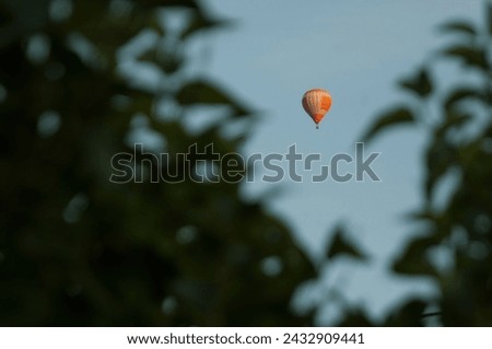Hot air balloon on a background of blue sky and green leaves.