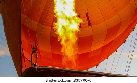 Hot Air Balloon Ride In Masai Mara