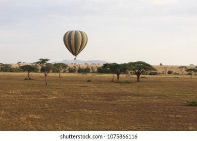 Hot Air Balloon, Serengeti National Park, Tanzania , 10 October 2017