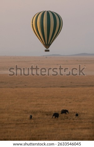 Hot air balloons float through a pastel sky with wild elphants roaming in the savannah below
