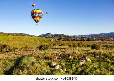 Hot air balloons over Napa Valley vineyards at sunrise with blue sky