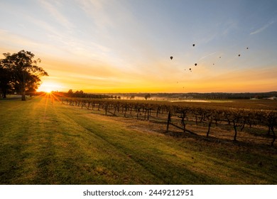 Hot Air balloons in Pokolbin wine region over vineyard at sunrise, Hunter Valley, NSW, Australia	 - Powered by Shutterstock