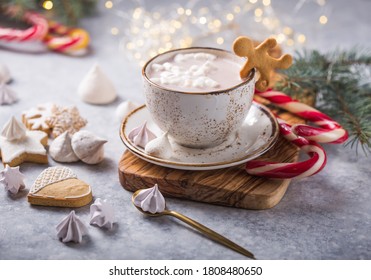Hot Chocolate Cocoa Drink Milk Marshmallows Stock Photo 1569142792 ...