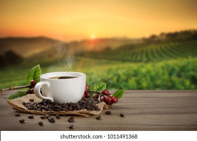 Hot Coffee Cup With Fresh Organic Red Coffee Beans And The Roasted Coffee Beans On The Wooden Table And The Plantations Background With Copy Space For Your Text.