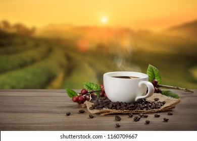 Cup Coffee Smoke Coffee Beans Burlap Stock Photo 582329227 | Shutterstock