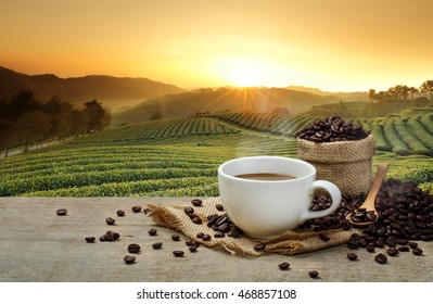 Hot Coffee Cup With Organic Coffee Beans On The Wooden Table And The Plantations Background