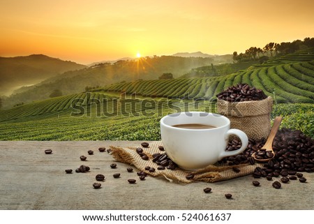 Hot coffee cup with organic coffee beans on the wooden table and the plantations background with copy space
