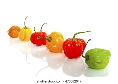 Hot colorful chili peppers in a row isolated over white