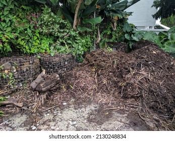 Hot Composting In The Backyard