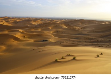 A Hot Day In Sahara Dessert!