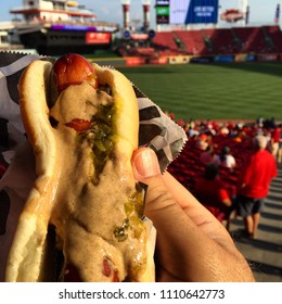 Hot Dog At Baseball Park