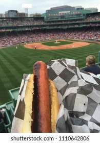 Hot Dog At Baseball Park