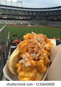 Hot Dog At Baseball Park