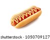 hot dog isolated