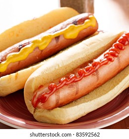 hot dog- two on a plate with ketchup and mustard.