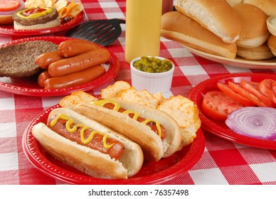 Hot Dogs And Other Picnic Food