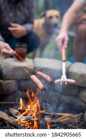 Hot Dogs Roasted Over Campfire With Tan Colored Dog In The Background