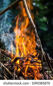 Hot fire is burning - Shutterstock ID 1090385870