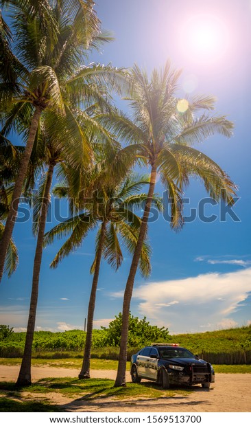 The hot Florida sun streams through the green\
fronds of a palm tree with a police car stationed near the Miami\
Beach waterline