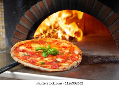 Hot Margherita Pizza baked In Oven
