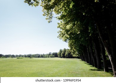 Hot Noon In The Summer Park With Big Trees And Juicy Green Grass