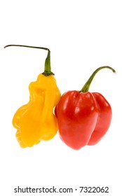 hot peppers from Suriname isolated on a white background