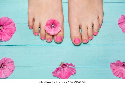 hot pink pedicure. top view of legs with pedicure. leg against the background of blue boards around pink flowers. blue wood background