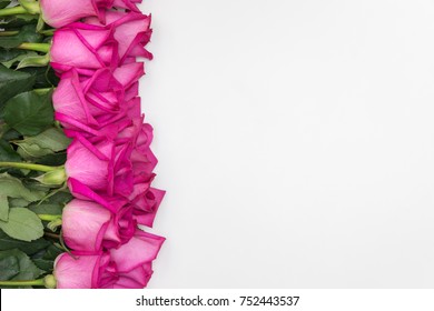 Hot Pink Roses Bouquet With Copy Space