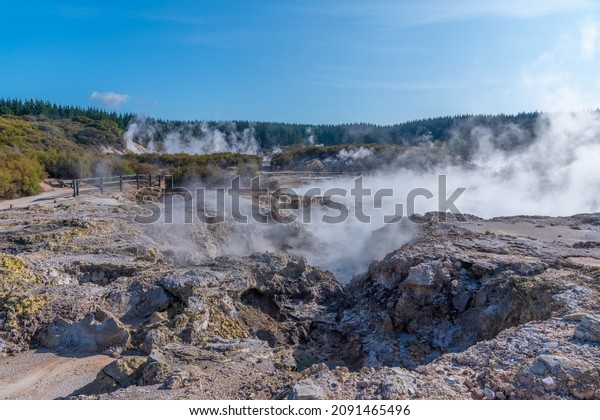 Hot pools at Hell\'s Gate Geothermal Reserve in\
New Zealand