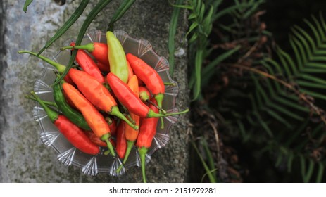 Hot Red Chilli, Pile Of Cayenne Pepper In A Bowl, Spicy Red Green, Ready For Cooking, Already Picked, Food Photography, Delicious, Taste Fresh Herbal Vegetable, Agriculture.