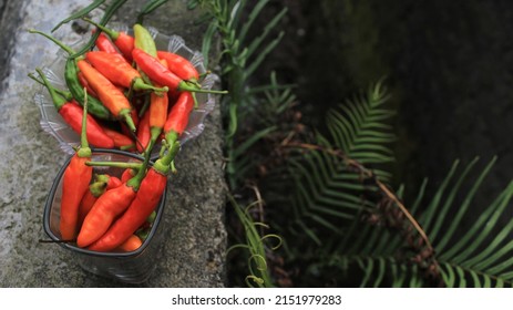 Hot Red Chilli, Pile Of Cayenne Pepper In A Bowl, Spicy Red Green, Ready For Cooking, Already Picked, Food Photography, Delicious, Taste Fresh Herbal Vegetable, Agriculture.