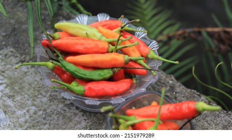 Hot Red Chilli, Pile Of Cayenne Pepper In A Bowl, Spicy Red Green, Ready For Cooking, Already Picked, Food Photography, Delicious, Taste Fresh Herbal Vegetable, Agriculture.