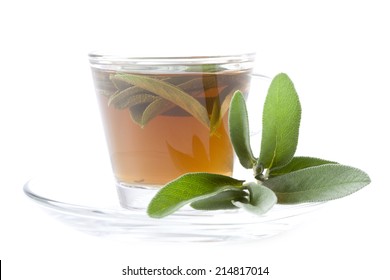 Hot Sage Tea With Fresh Sage, White Background, Isolated,